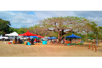 Marché de Proximité